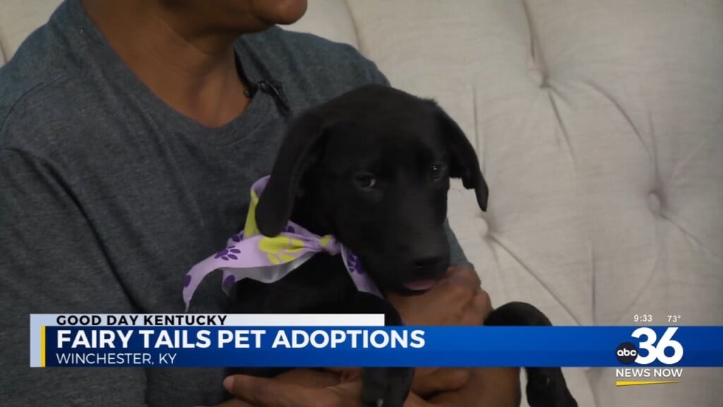 Take A Trip With Chantarelle As She Looks For Her New Forever Home