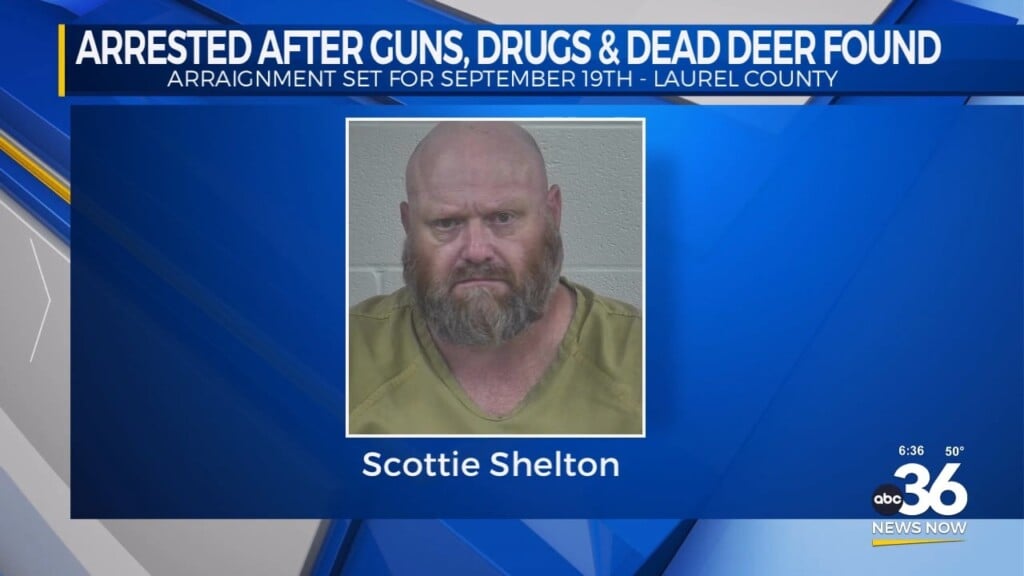 Court Date Set For Man With Guns, Drugs And Dead Deer Charges