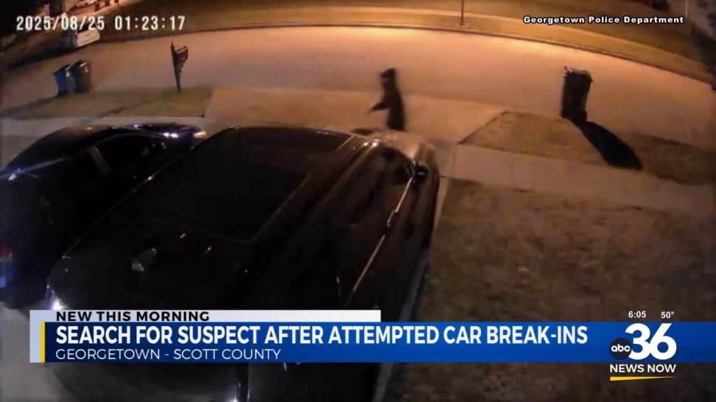 Police Search For Suspect In Alleged Car Break In Attempt