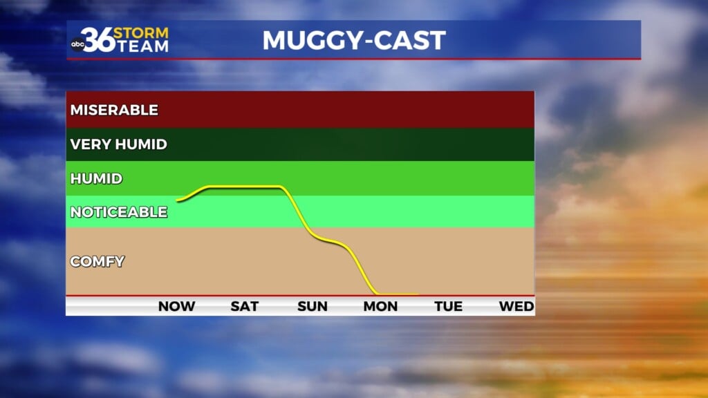 Tg Muggy