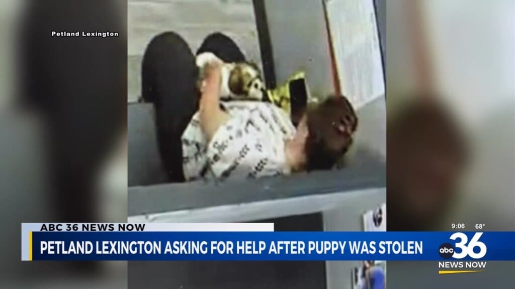 Petland Lexington Asking For Help After A Puppy Was Stolen
