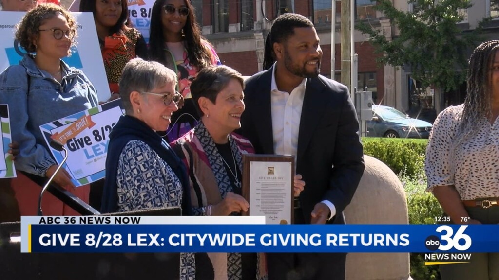 Give 828 Citywide Giving Returns