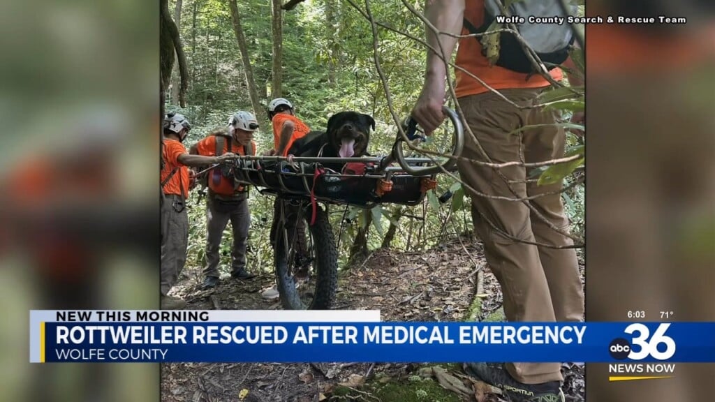 Crews Rescue Dog Suffering Medical Emergency On Hiking Trail
