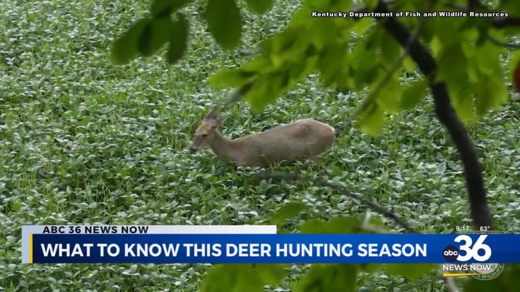 What To Know This Deer Hunting Season