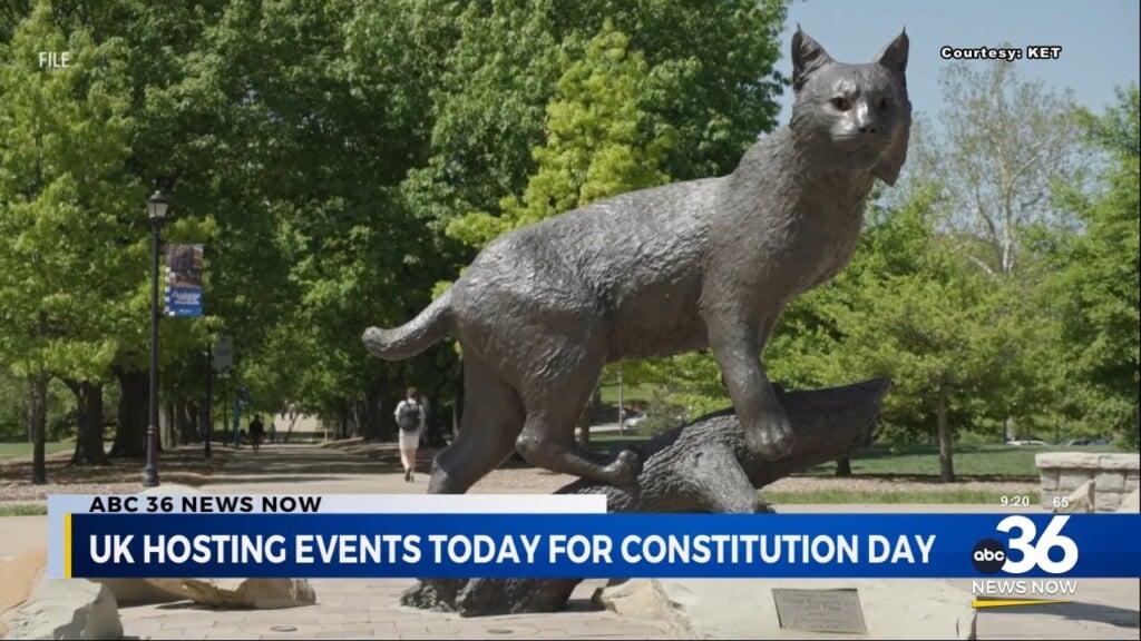 Uk Hosting Events For Constitution Day