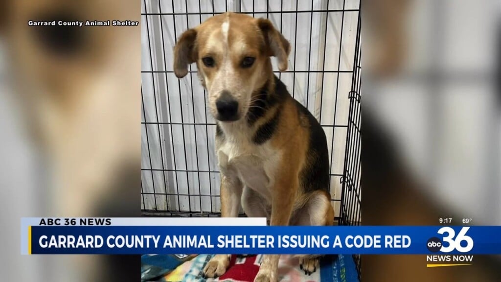 Garrard County Animal Shelter Issuing A Code Red