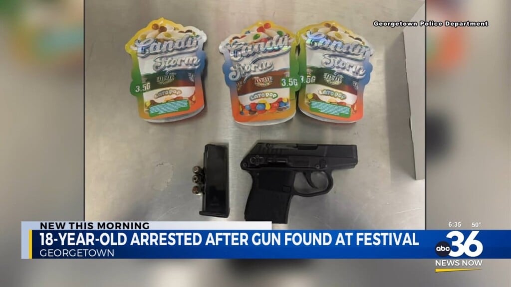 18 Year Old Arrested For Having Gun At Crowded Festival