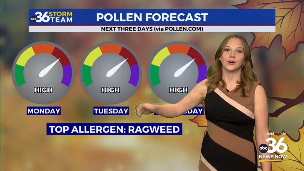Fall Like And Pleasant Start To The Work Week