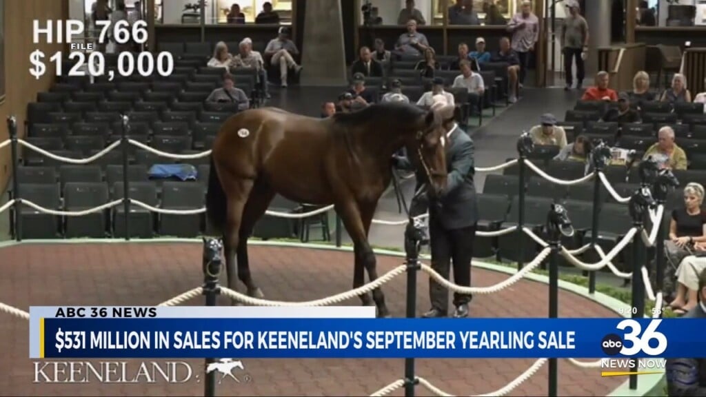 Record Sales For Keeneland's September Yearling Sale