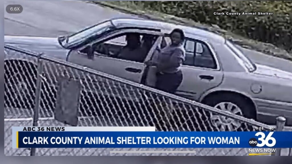 Animal Shelter Looking For Woman Who Abandoned A Dog