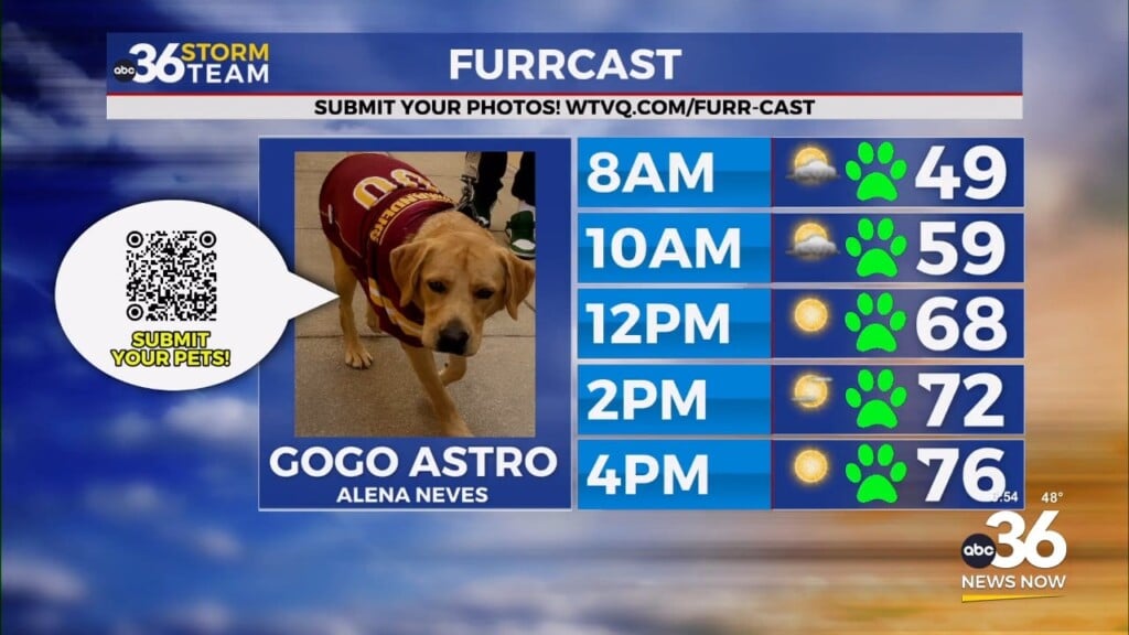 Gogo Astro Furrcast Debut