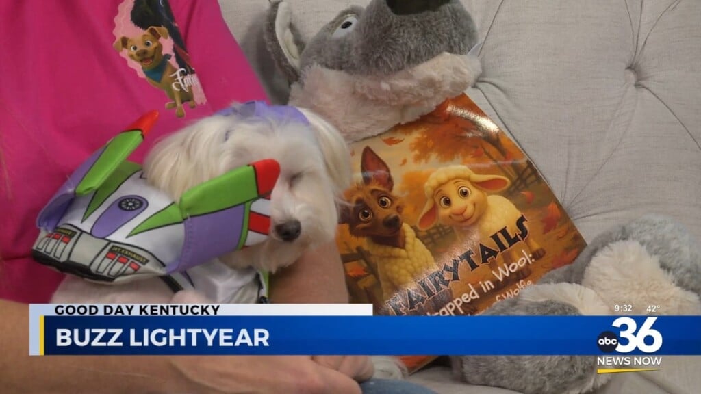 To Infinity And Adoption