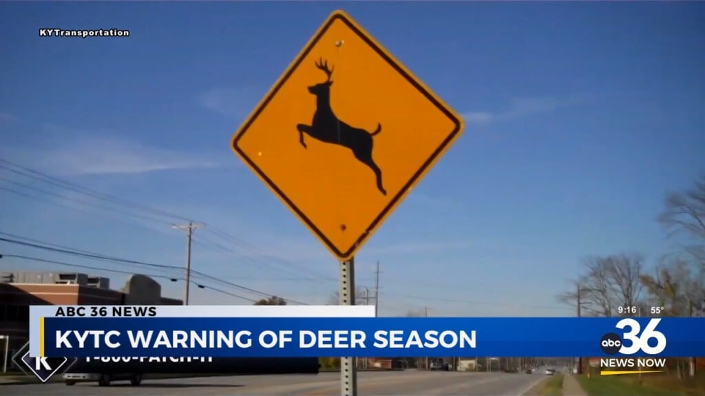Kytc Warns Of Deer Season