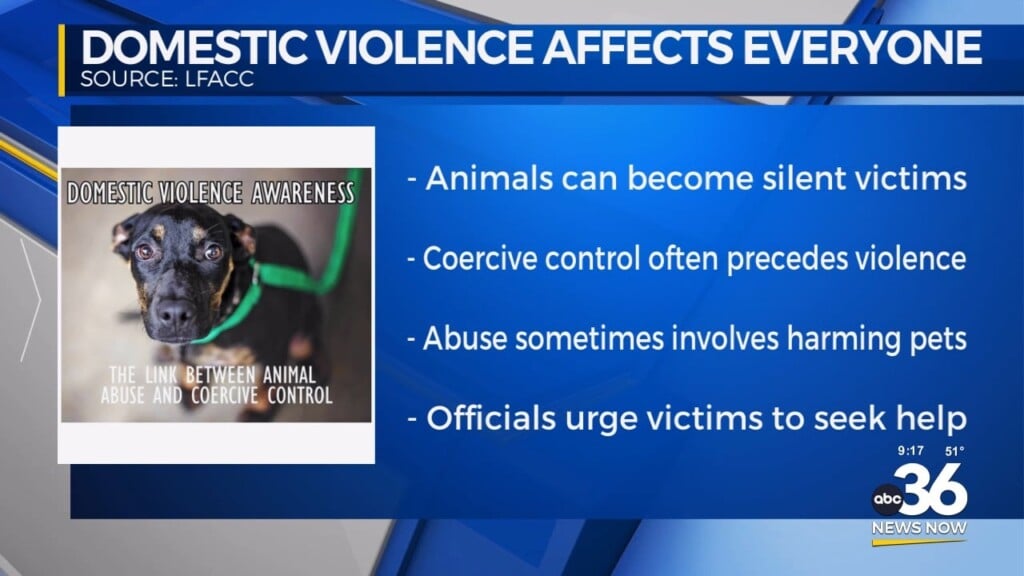 Domestic Violence Can Affect Pets As Well As People