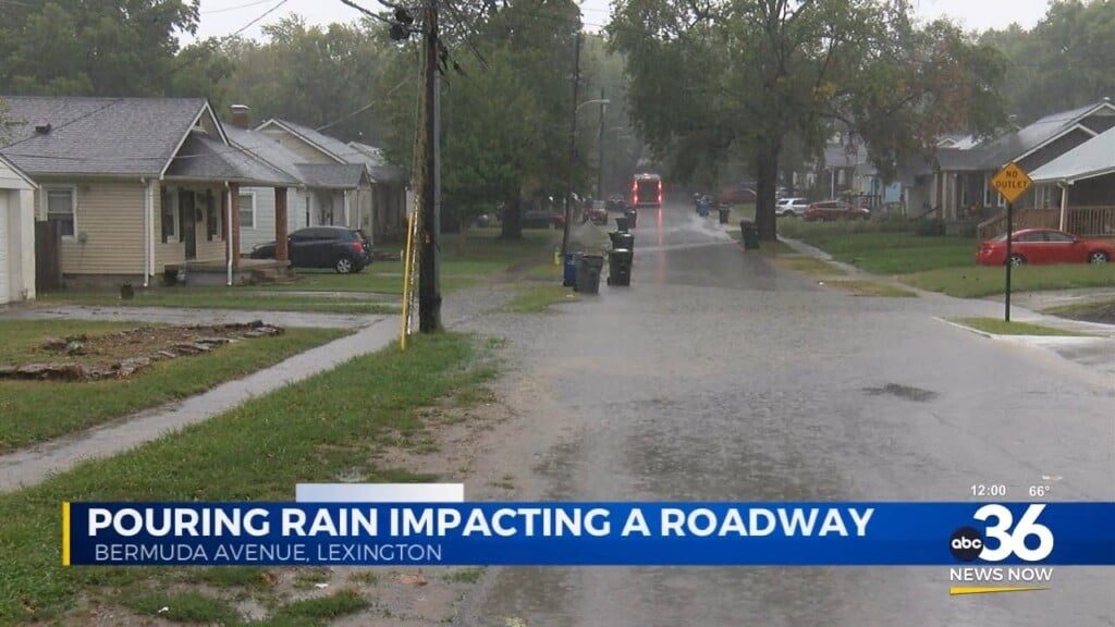 Pouring Rain Impacts Bermuda Road