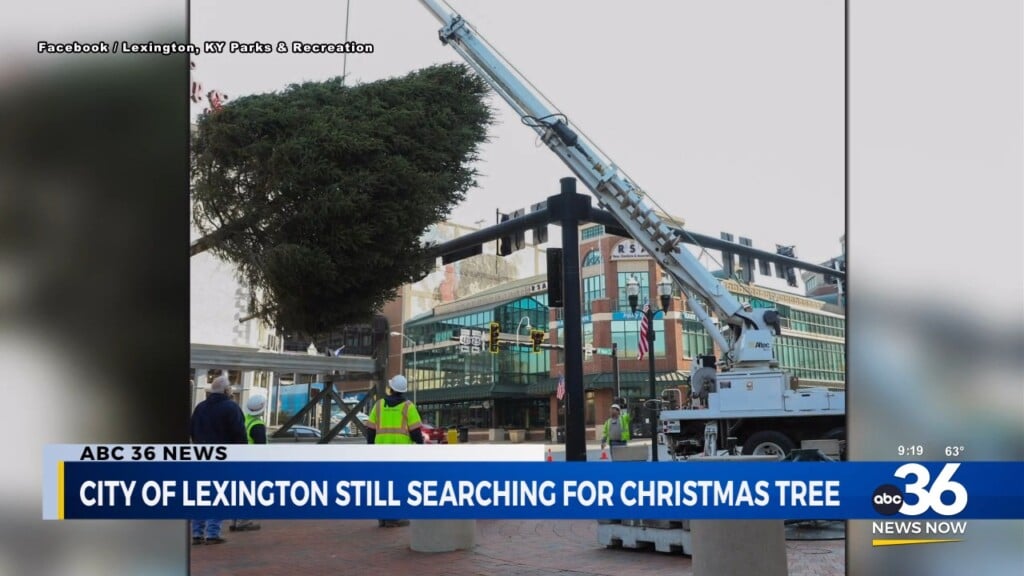 City Of Lexington Still Searching For Christmas Tree