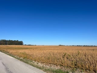 Soybeans