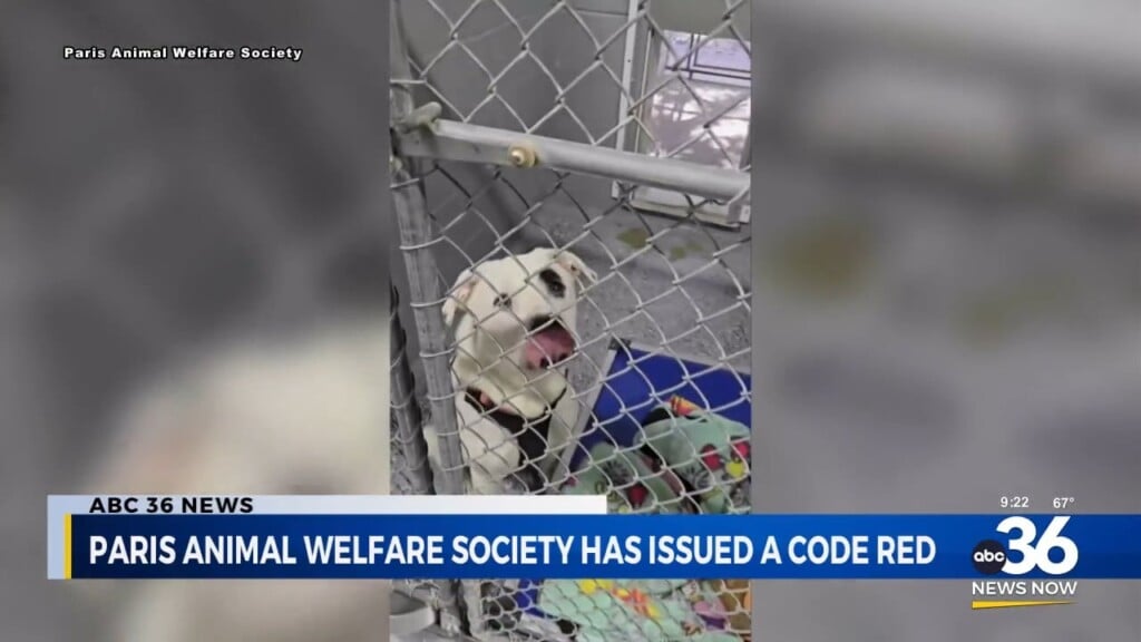 Animal Welfare Society Issues "code Red"