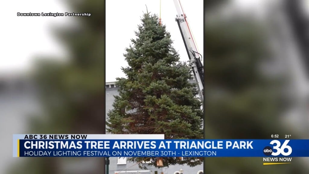 Christmas Tree Arrives At Triangle Park