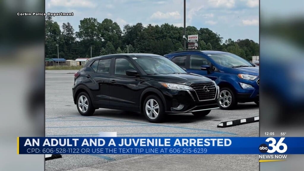 An Adult And Juvenile Arrested For Car Theft