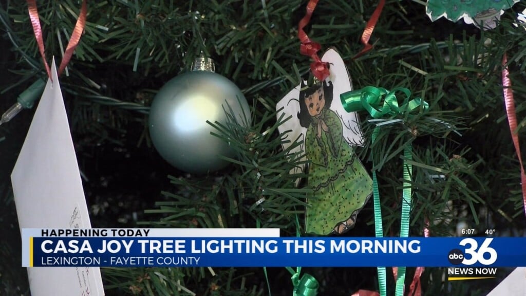 Lighting Ceremony Planned For C.a.s.a.'s Joy Tree Program