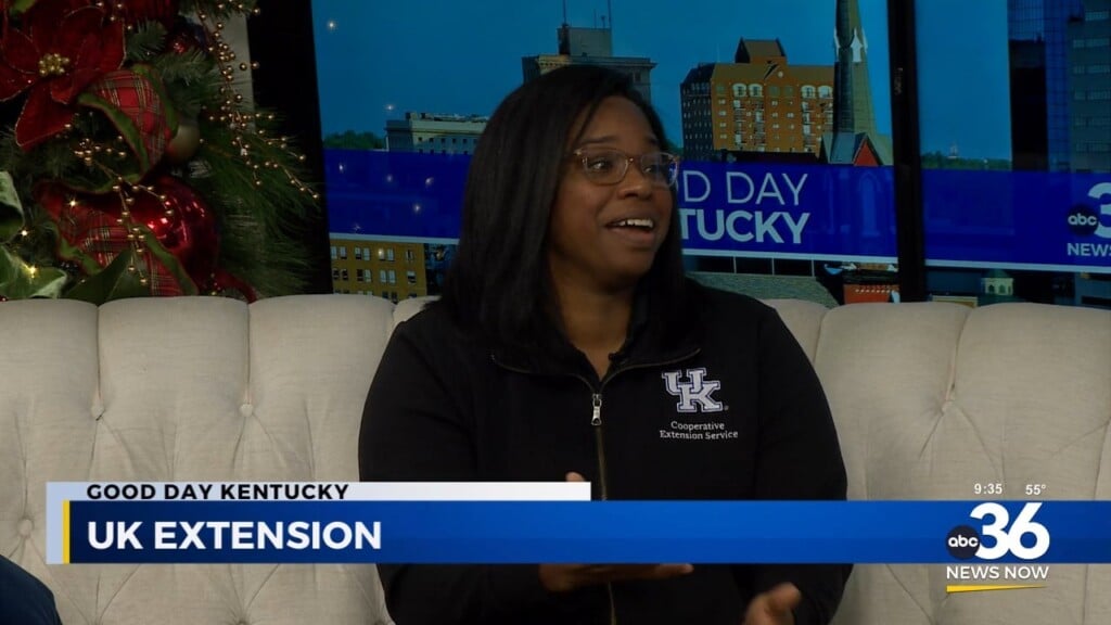 Dealing With Holiday Travel Stress With The Uk Extension Office