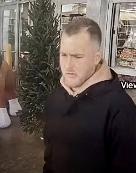 Georgetown Theft Suspect 1