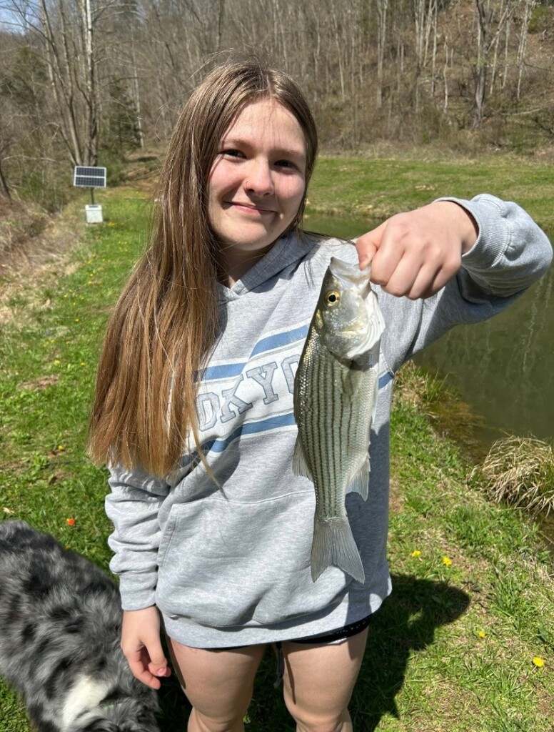 New Information: Missing Kentucky Teen Found in Maryland; Man Arrested ...