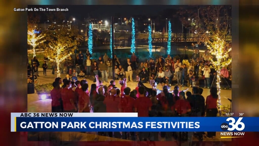 Gatton Park Christmas Tree Lighting And Festivities