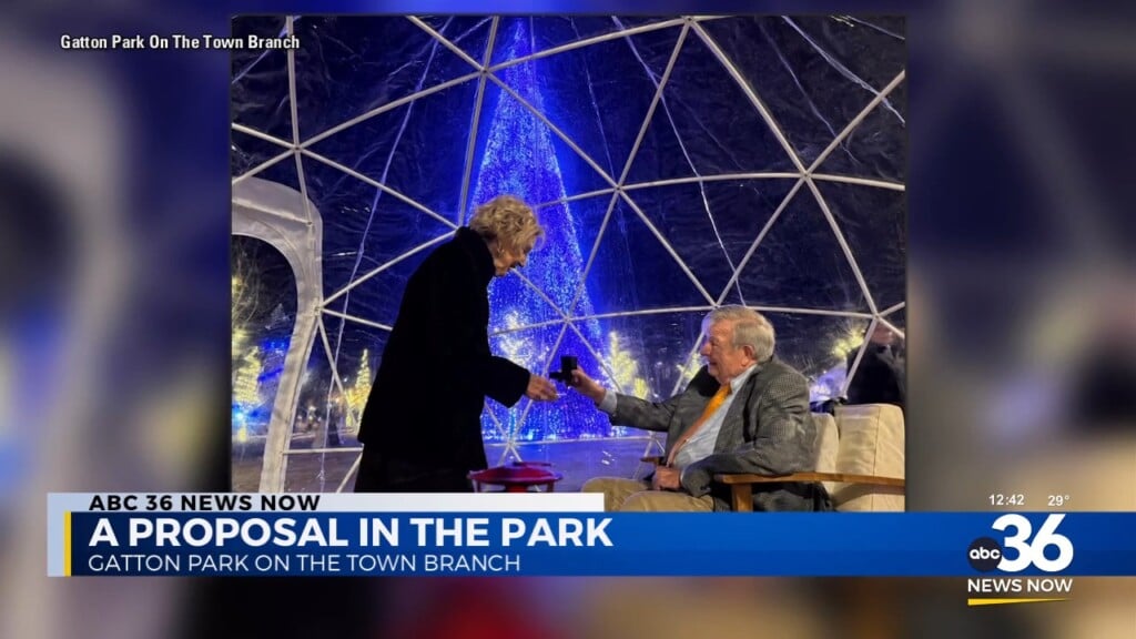 Couple Gets Engaged At Gatton Park's Winter Village