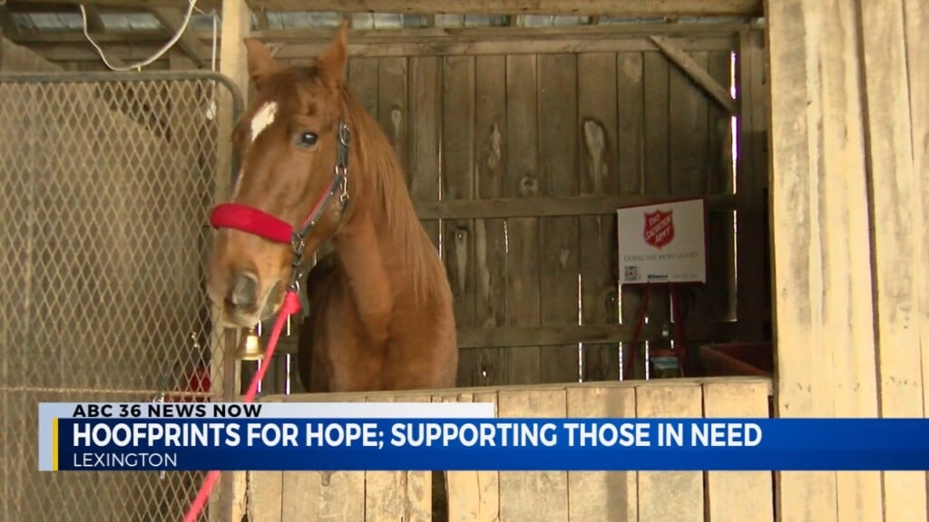 Hank's Hope Supports Those In Need