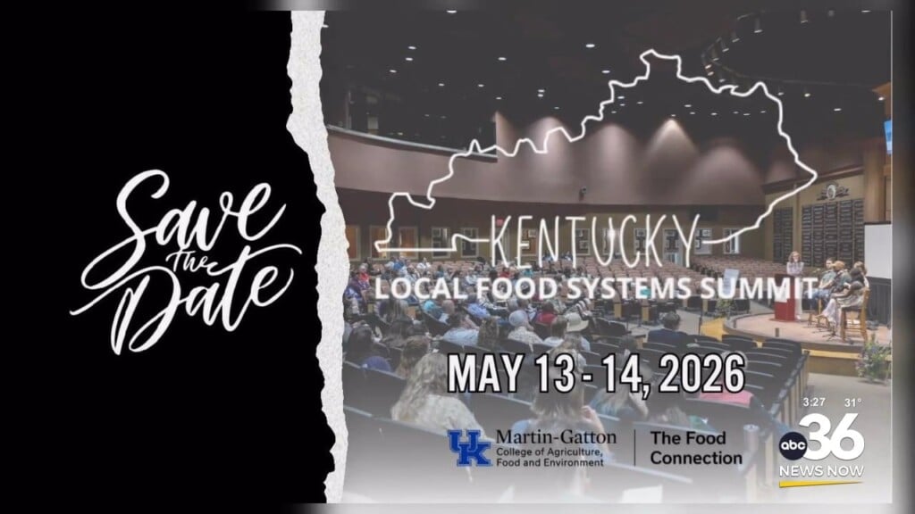 What's Cooking At The Food Connection