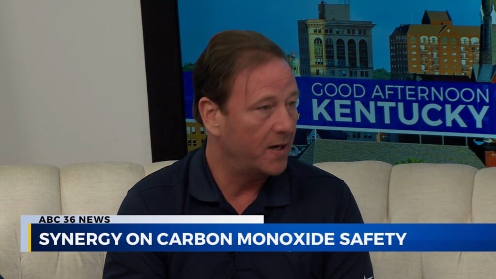 Synergy On Carbon Monoxide Safety