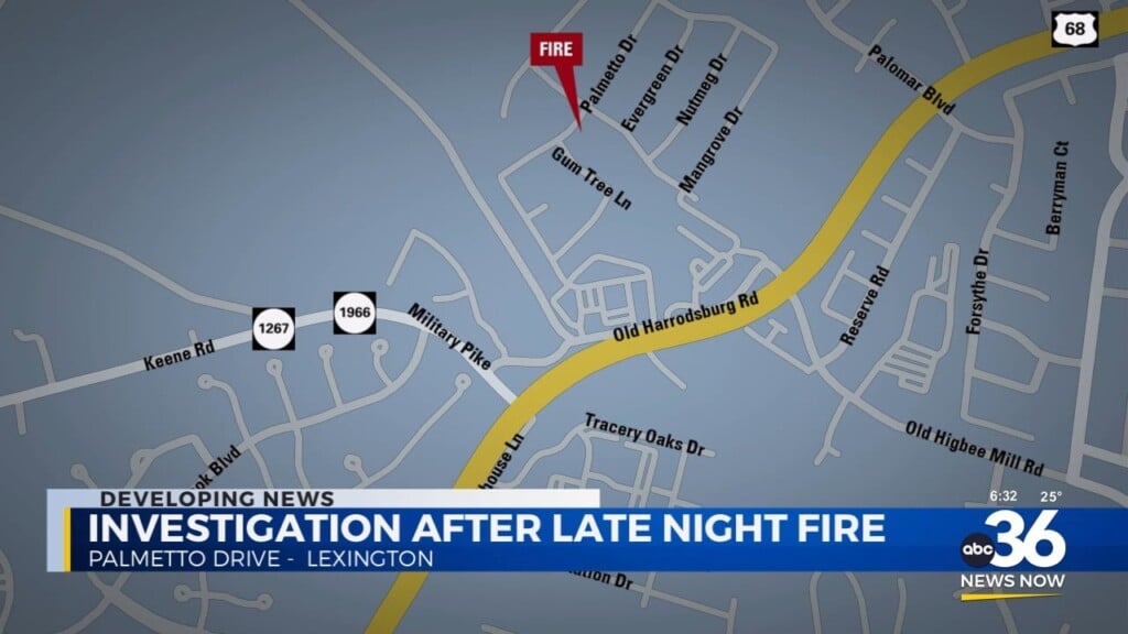 Late Night Fire On Palmetto Drive