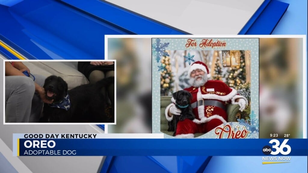 Oreo Glad To See Me?