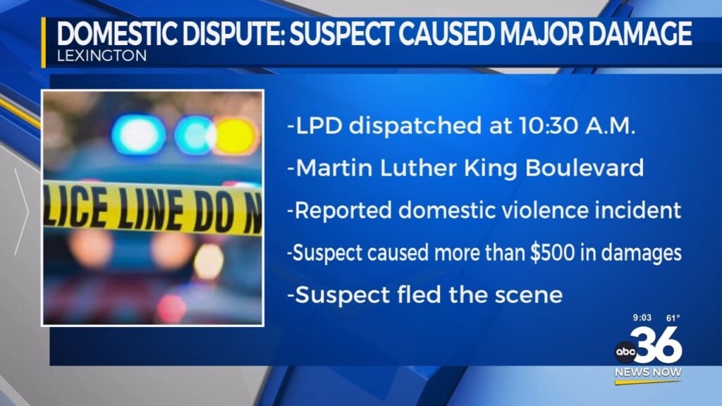 Suspect Caused Major Damage In Domestic Dispute