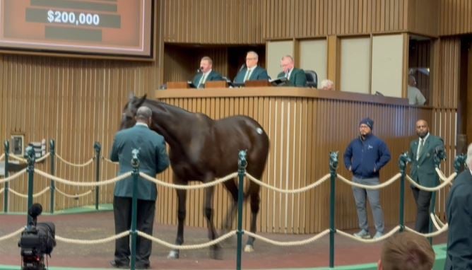 Kland Sale Web 011326