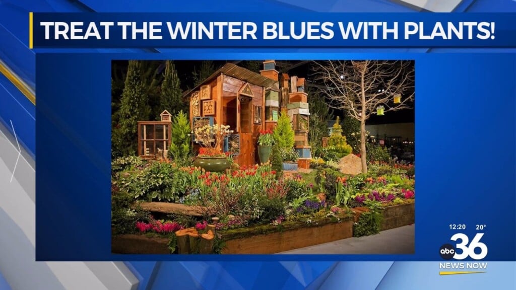 Mindset Practitioner Dr. Melissa Carver & Husband Leo Join Us To Discuss How Plants Can Help Treat The Winter Blues