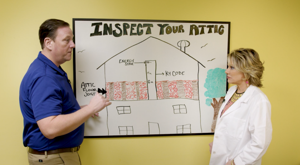 Inspect Your Attic