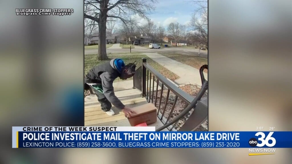 Police Seek Porch Pirate Caught On Camera In Lexington