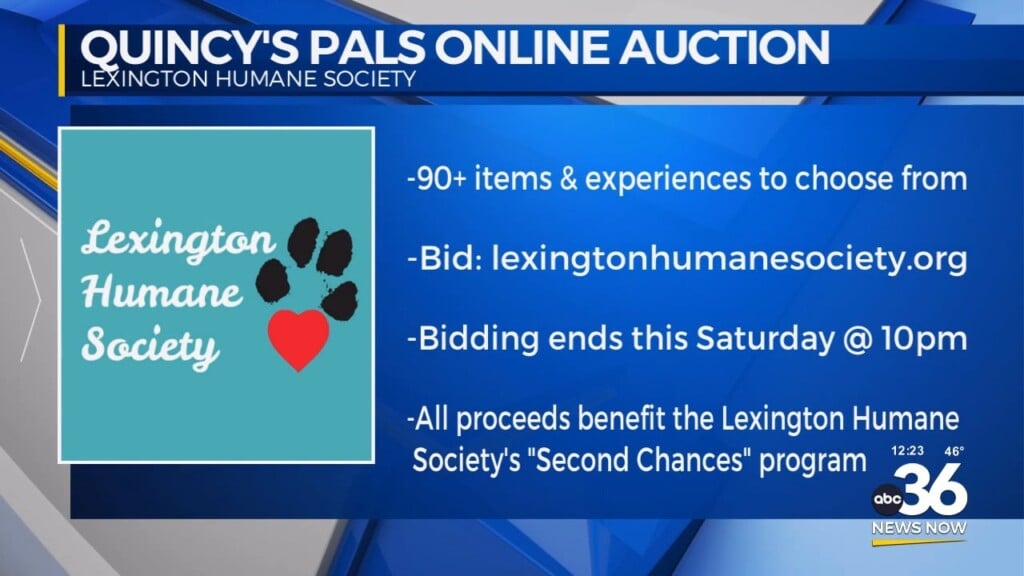 Charity "quincy's Pals" Hosts Online Auction To Benefit Lexington Humane Society