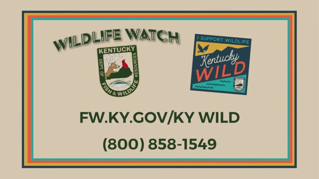 Wildlife Watch With The Kentucky Department Of Fish And Wildlife