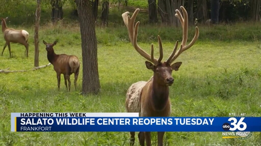 Salato Wildlife Center Set To Reopen
