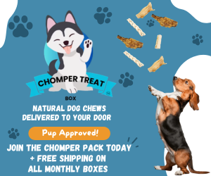 Chomper Treat General Ad