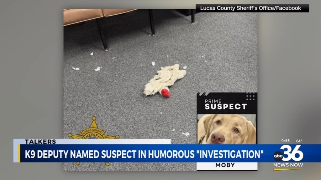 Ohio K 9 “moby” Jokingly Accused Of Destroying Squeak Toy