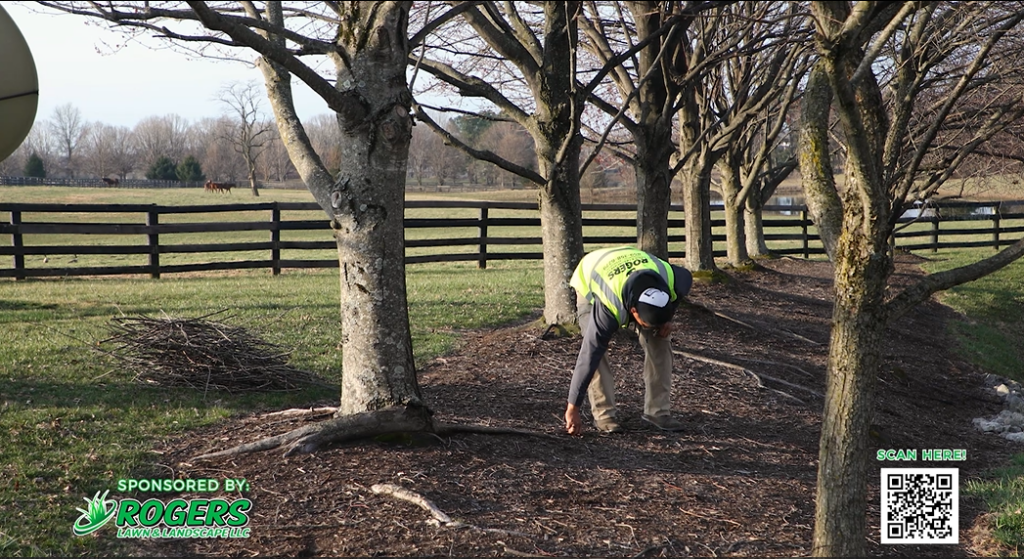 Ask The Expert: Rogers Landscape Spring