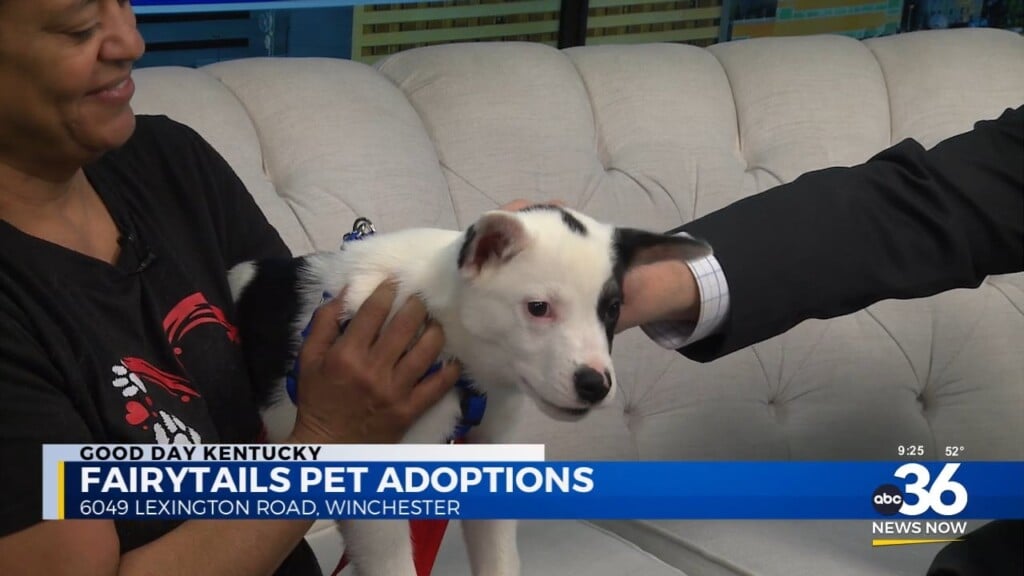 Mend Your Love Leaks With Patches