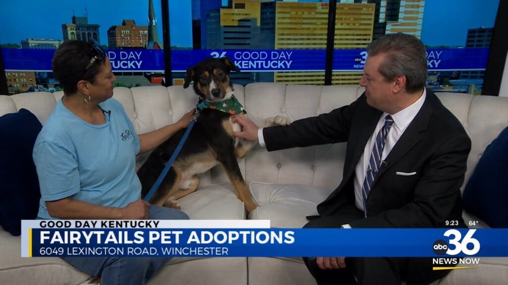 Let's Go On An Adventure Milo