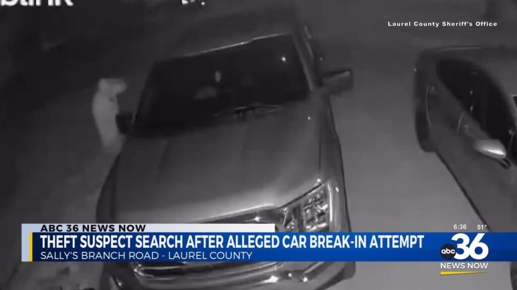 Theft Suspect Search After Alleged Car Break In Attempt