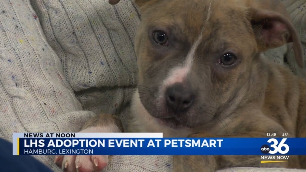 "adopt Us You Will" Florence And Baby Yoda Welcome The Lexington Humane Society's Adoption Event At Petsmart